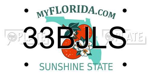 33BJLS Florida License Plate