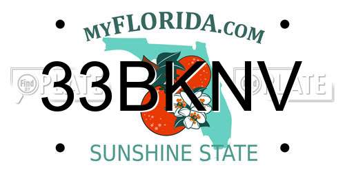 33BKNV Florida License Plate