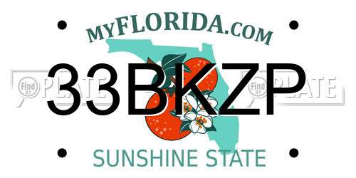 33BKZP Florida License Plate