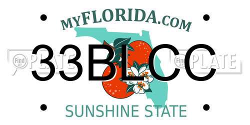 33BLCC Florida License Plate