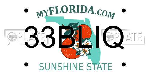 33BLIQ Florida License Plate