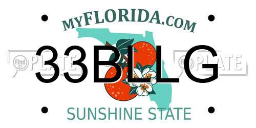 33BLLG Florida License Plate