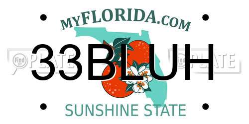 33BLUH Florida License Plate