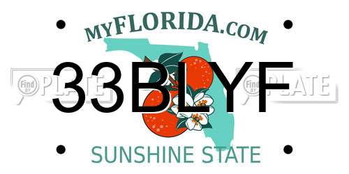 33BLYF Florida License Plate