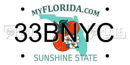 33BNYC Florida License Plate