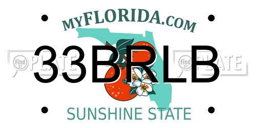 33BRLB Florida License Plate