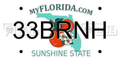 33BRNH Florida License Plate