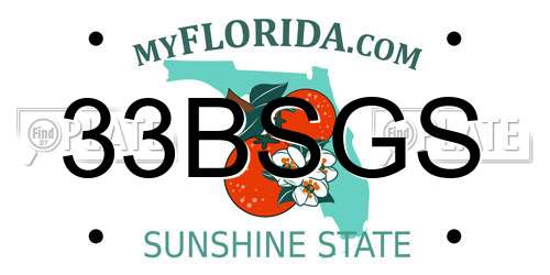 33BSGS Florida License Plate