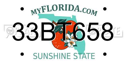 33BT658 Florida License Plate