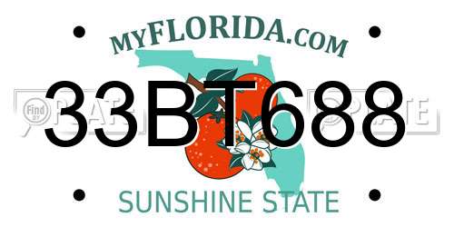 33BT688 Florida License Plate