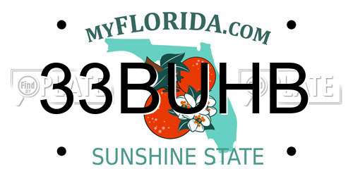 33BUHB Florida License Plate