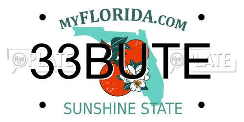 33BUTE Florida License Plate