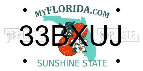 33BXUJ Florida License Plate