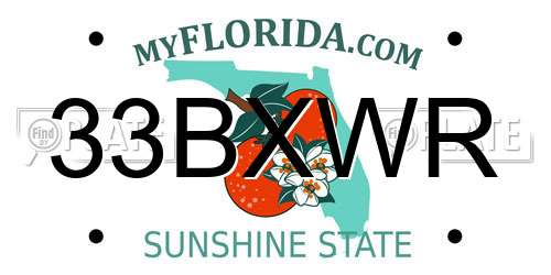 33BXWR Florida License Plate