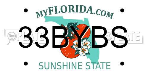 33BYBS Florida License Plate