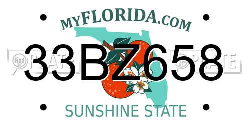 33BZ658 Florida License Plate