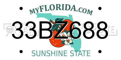 33BZ688 Florida License Plate