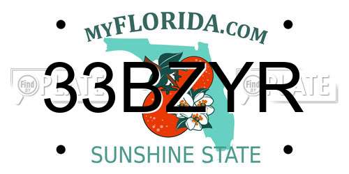 33BZYR Florida License Plate