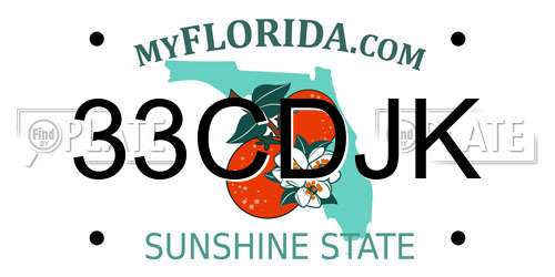 33CDJK Florida License Plate