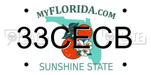 33CECB Florida License Plate
