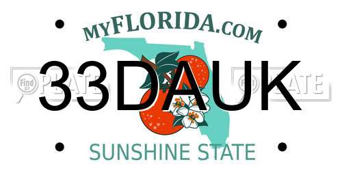 33DAUK Florida License Plate