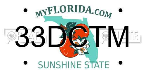 33DCTM Florida License Plate