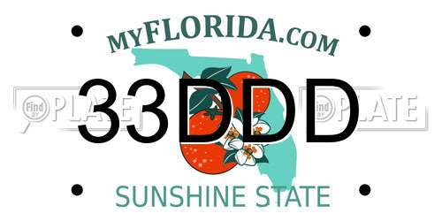 33DDD Florida License Plate