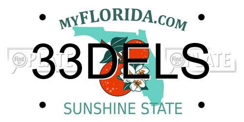 33DELS Florida License Plate