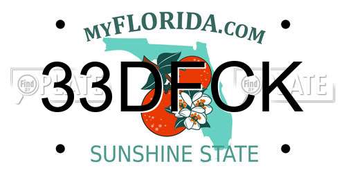 33DFCK Florida License Plate