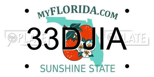33DJIA Florida License Plate