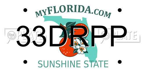 33DRPP Florida License Plate