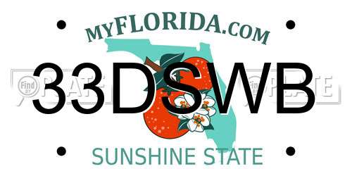 33DSWB Florida License Plate