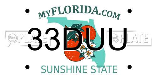 33DUU Florida License Plate