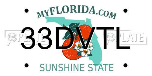 33DVTL Florida License Plate