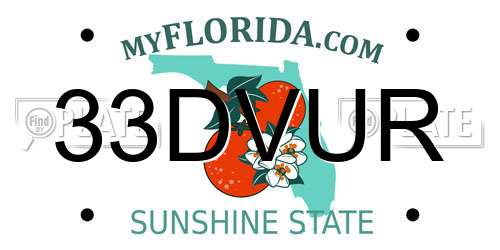 33DVUR Florida License Plate