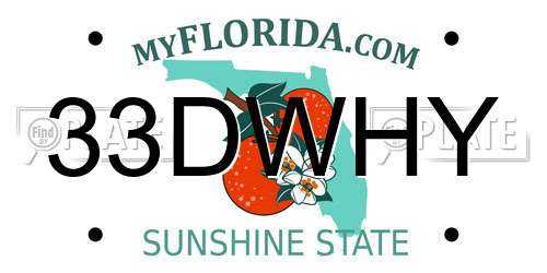 33DWHY Florida License Plate