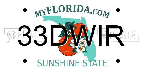 33DWIR Florida License Plate