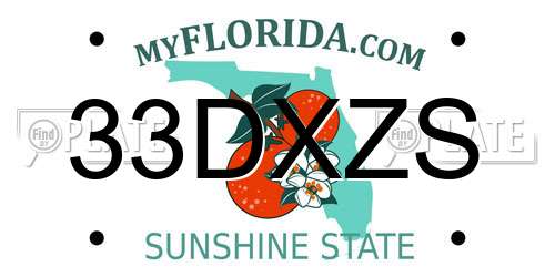 33DXZS Florida License Plate
