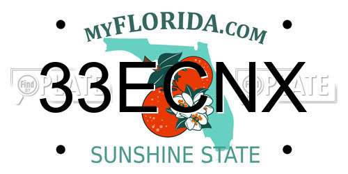 33ECNX Florida License Plate