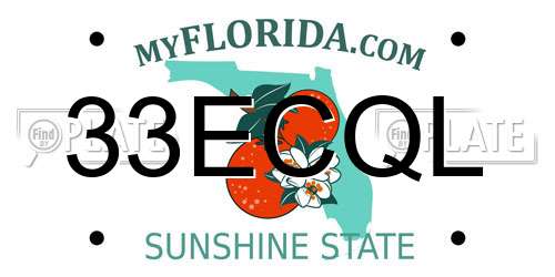 33ECQL Florida License Plate