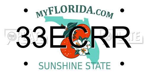 33ECRR Florida License Plate