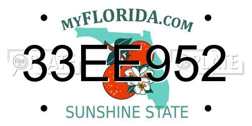 33EE952 Florida License Plate