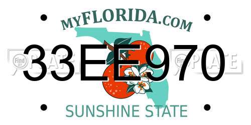 33EE970 Florida License Plate
