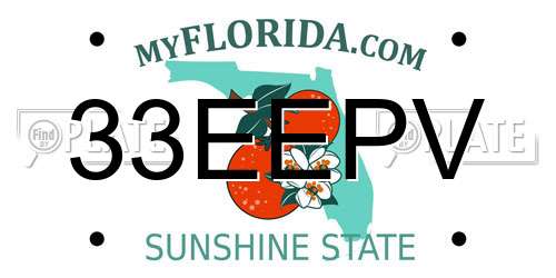 33EEPV Florida License Plate