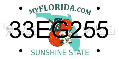 33EG255 Florida License Plate