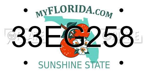 33EG258 Florida License Plate