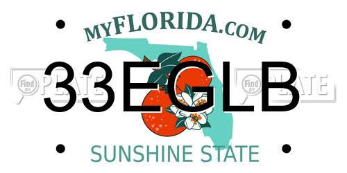 33EGLB Florida License Plate