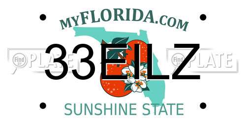 33EILZ Florida License Plate