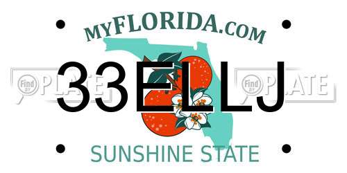 33ELLJ Florida License Plate