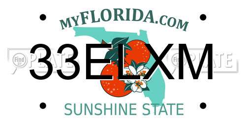 33ELXM Florida License Plate
